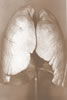 un ottimo sito informativo sulla tubercolosi
